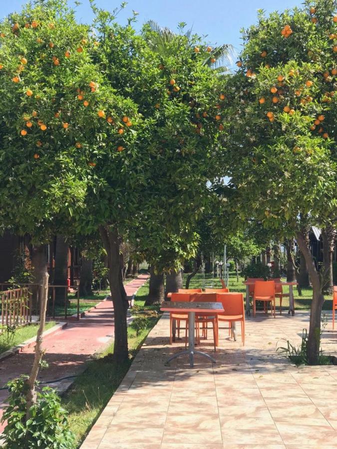 Dream Park Bungalow Titreyengol Ngoại thất bức ảnh